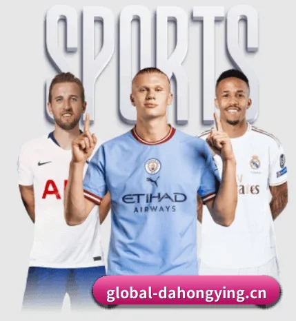 大红鹰dhy APP